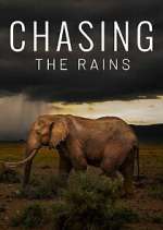 Watch Chasing the Rains Movie4k