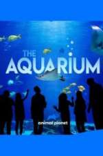 Watch The Aquarium Movie4k