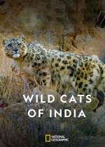 Watch Wild Cats of India Movie4k