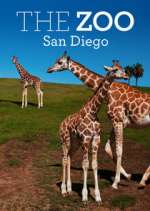 Watch The Zoo: San Diego Movie4k