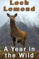 Watch Loch Lomond: A Year in the Wild Movie4k