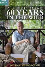 Watch Attenborough 60 Years in the Wild Movie4k