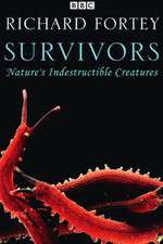 Watch Survivors: Nature's Indestructible Creatures Movie4k