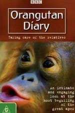 Watch Orangutan Diary Movie4k