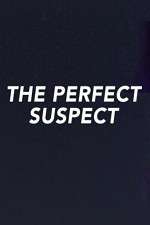 Watch The Perfect Suspect Movie4k