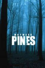 Watch Wayward Pines Movie4k