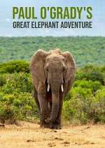 Watch Paul O'Grady's Great Elephant Adventure Movie4k