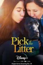 Watch Pick of the Litter Movie4k