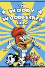 Watch The Woody Woodpecker Show Movie4k