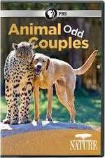 Watch Animal Odd Couples Movie4k