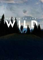 Watch Called to the Wild Movie4k