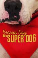 Watch Rescue Dog to Super Dog (US) Movie4k