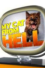 Watch My Cat from Hell Movie4k