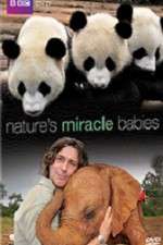 Watch Natures Miracle Babies Movie4k