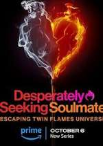 Watch Desperately Seeking Soulmate: Escaping Twin Flames Universe Movie4k