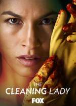 Watch The Cleaning Lady Movie4k