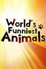 Watch The World\'s Funniest Animals Movie4k