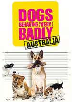 Watch Dogs Behaving (Very) Badly Australia Movie4k