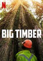 Watch Big Timber Movie4k