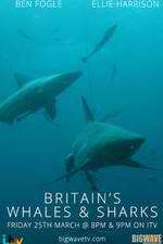 Watch Britain's Whales and Sharks Movie4k