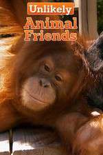 Watch Unlikely Animal Friends Movie4k