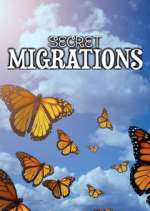 Watch Secret Migrations Movie4k