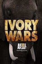 Watch Ivory Wars Movie4k