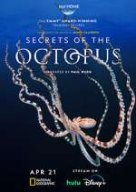 Secrets of the Octopus movie4k