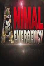 Watch Animal Emergency Movie4k