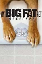 Watch My Big Fat Pet Makeover Movie4k