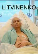 Watch Litvinenko Movie4k