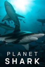 Watch Planet Shark Movie4k