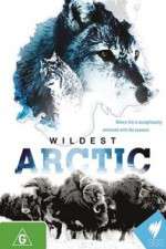 Watch Wildest Arctic Movie4k