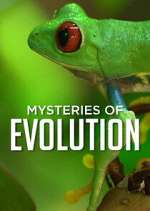 Watch Mysteries of Evolution Movie4k