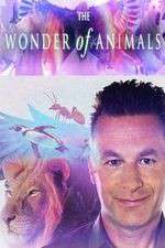 Watch The Wonder of Animals Movie4k