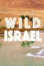 Watch Wild Israel Movie4k