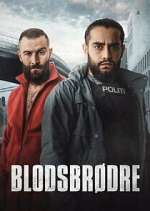 Watch Blodsbrødre Movie4k