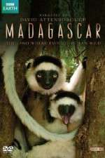 Watch Madagascar Movie4k