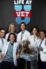 Watch Life at Vet U Movie4k