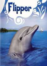 Watch Flipper Movie4k