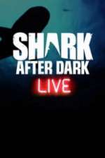 Watch Shark After Dark Movie4k