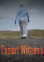 Watch Expert Witness Movie4k