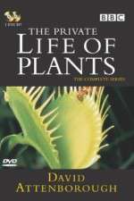 Watch The Private Life of Plants Movie4k