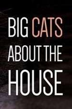 Watch Big Cats About the House Movie4k