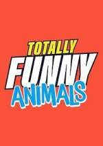 Watch Totally Funny Animals Movie4k