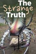 Watch The Strange Truth Movie4k