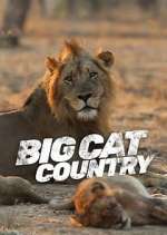 Watch Big Cat Country Movie4k