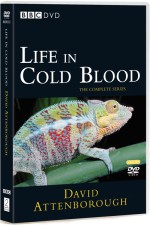 Watch Life in Cold Blood Movie4k