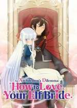 Watch An Archdemon's Dilemma: How to Love Your Elf Bride Movie4k