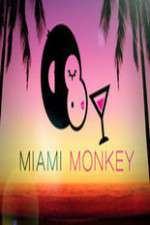 Watch Miami Monkey Movie4k